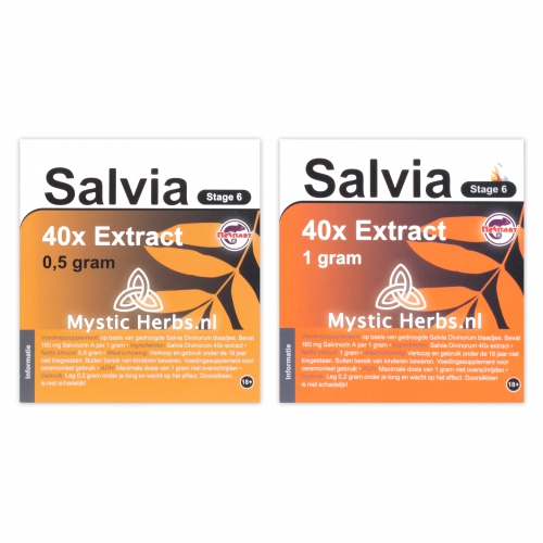 Salvia Divinorum 40X Extract
