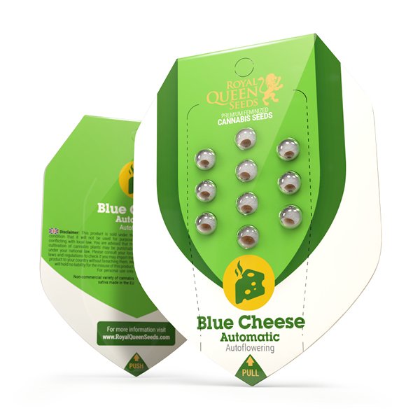 Blue Cheese automatic wietzaden