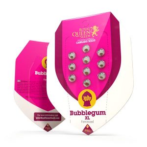 bubblegum-xl wietzaden