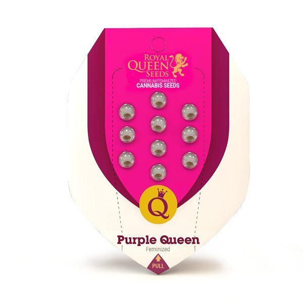 purple-queen (1)
