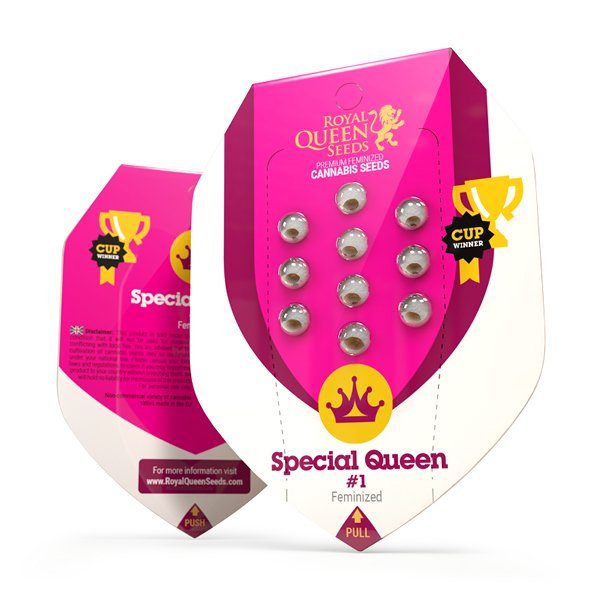 special-queen-1 (1)