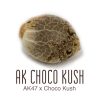 AK-Choco-Kush1