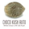 Choco-Kush-Auto1
