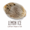 Lemon-Ice1